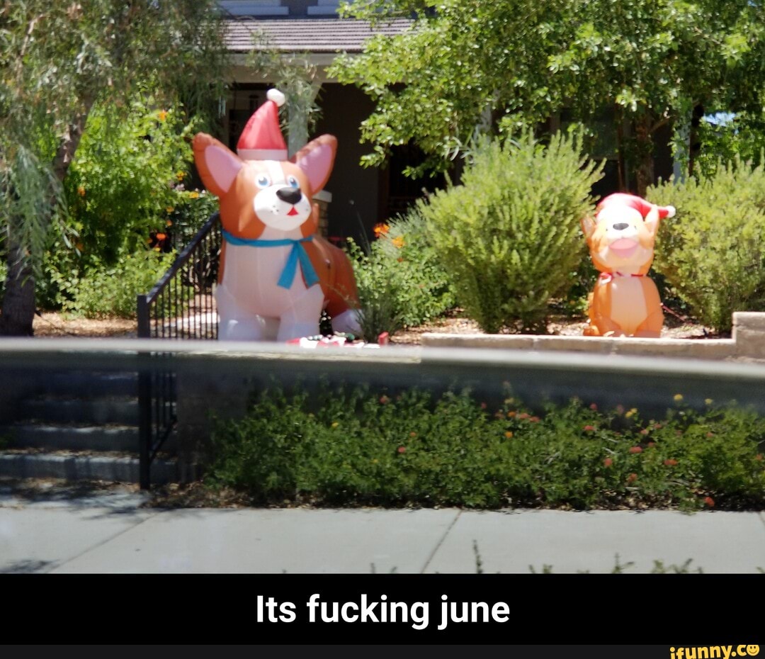 MO ing Its fuck - Its fucking june