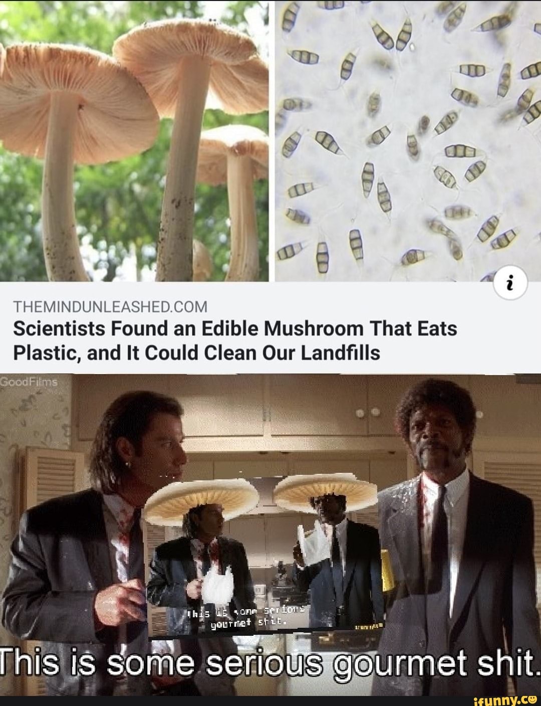 Kramer, what's going GAliatiere? Kharak is burning, )