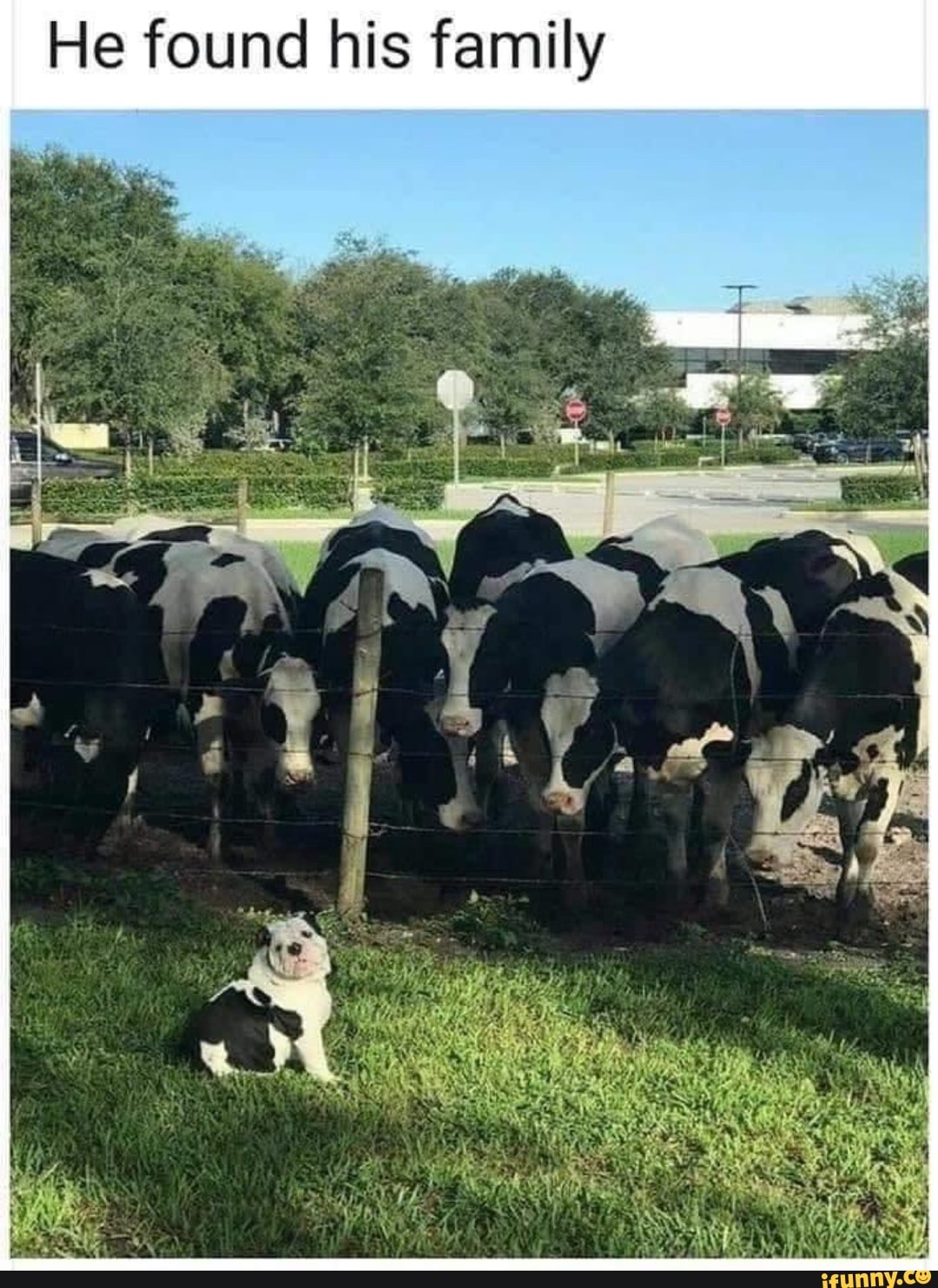 He found his family