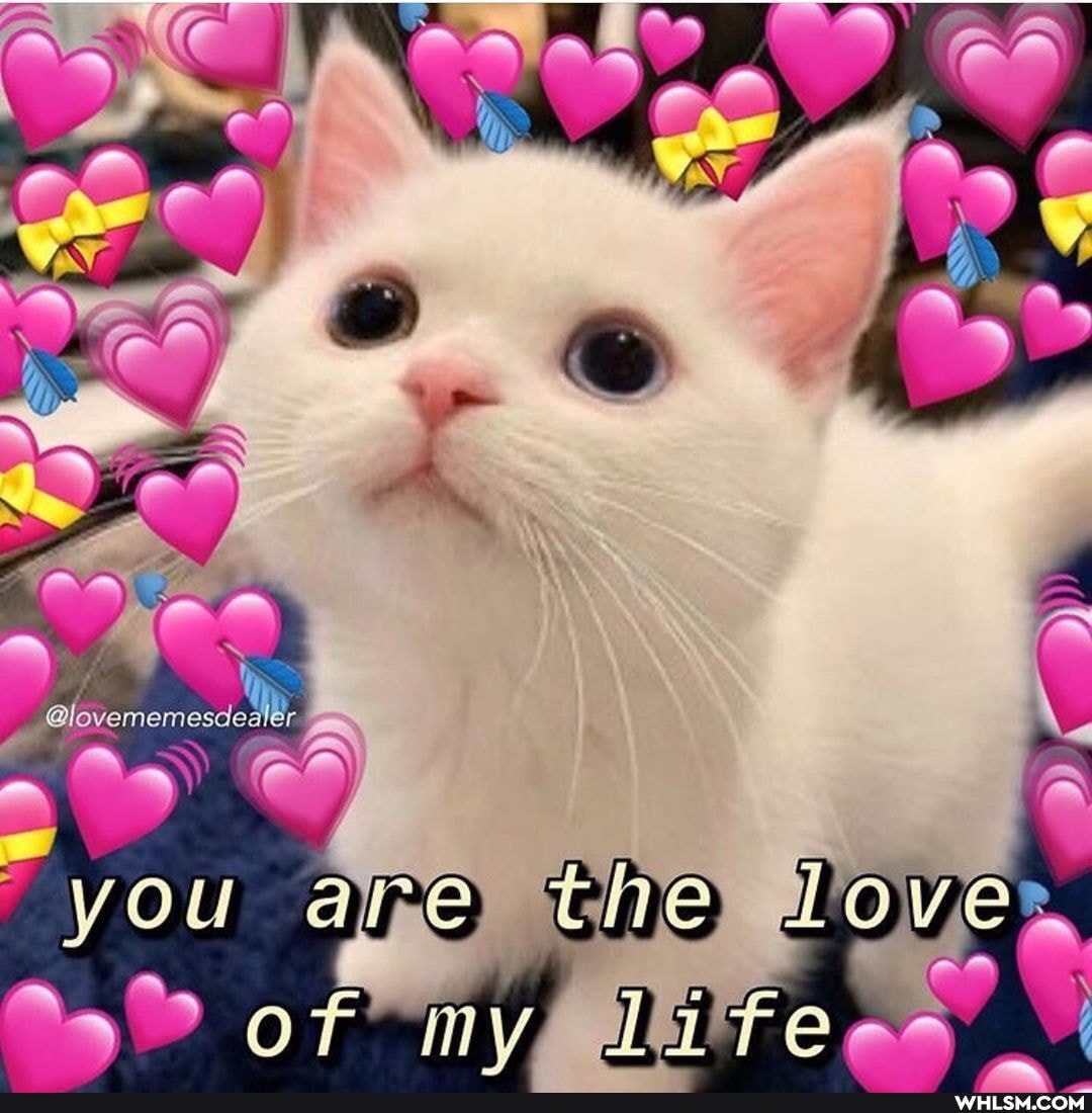 @lovememesdeti ,
"you Lo of my
SO-