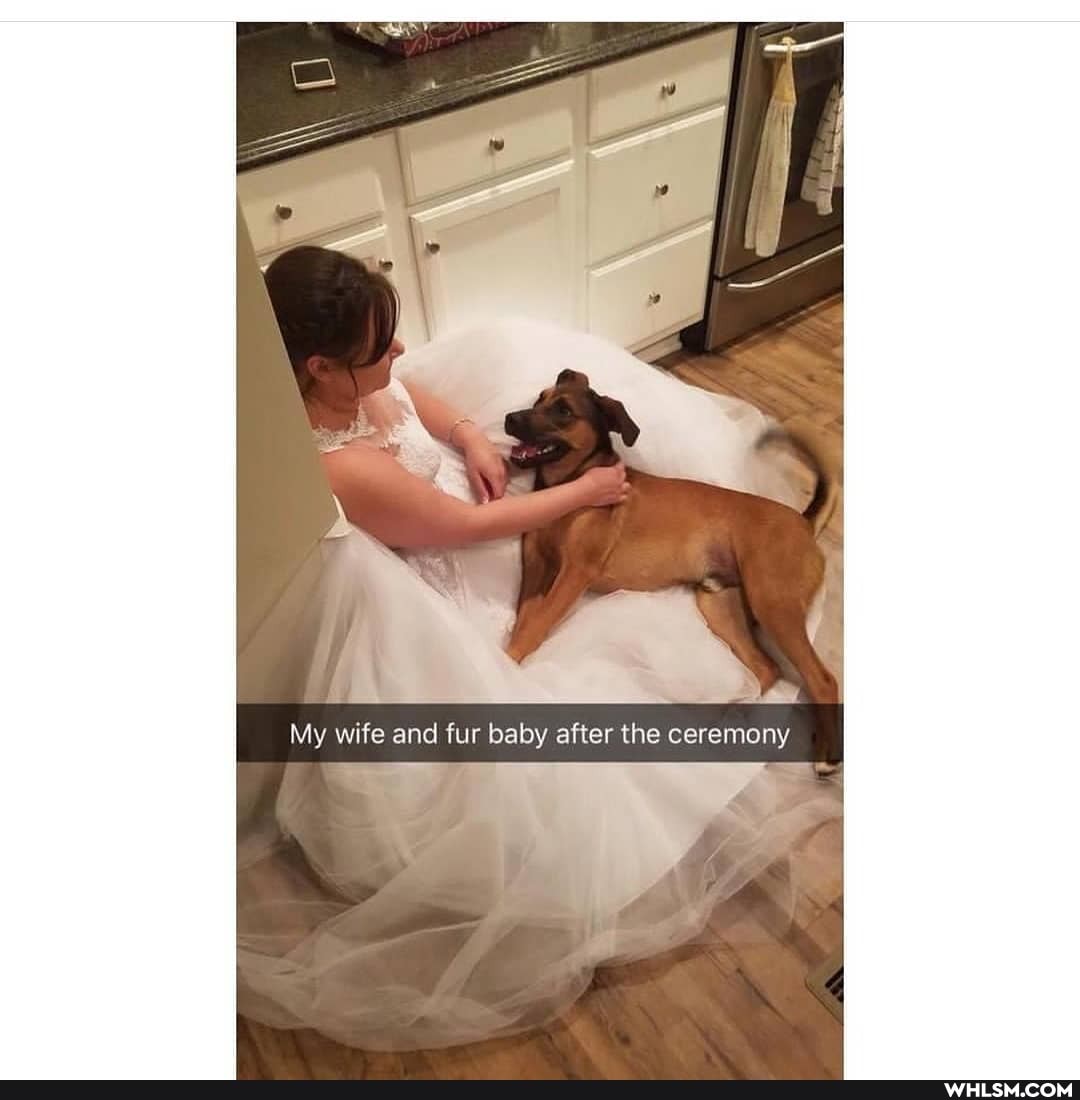 My wife and fur baby after the ceremony
EN