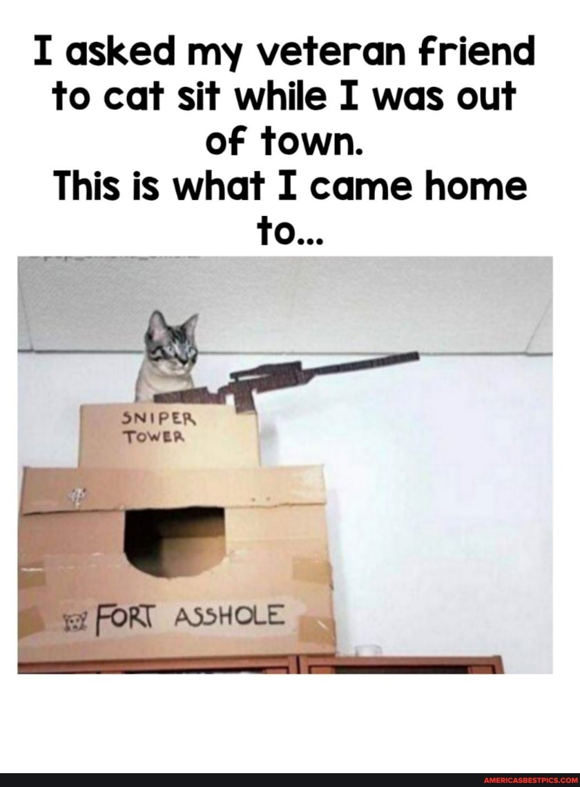 I asked my veteran friend to cat sit while I was out of town.
This is what I came home
To...
SNIPER
ASSHOLE