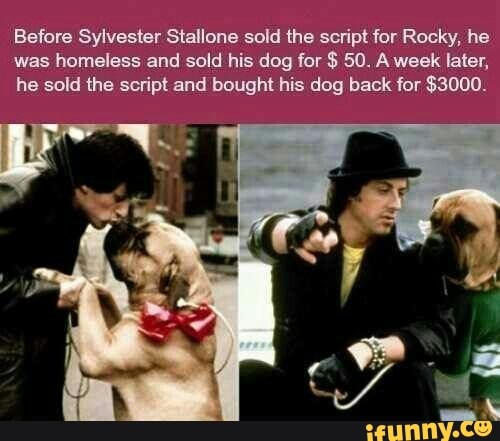 Before Sylvester Stallone sold the script for Rocky, he
was homeless and sold his dog for 50. A week later,
he sold the script and bought his dog back for $3000.
