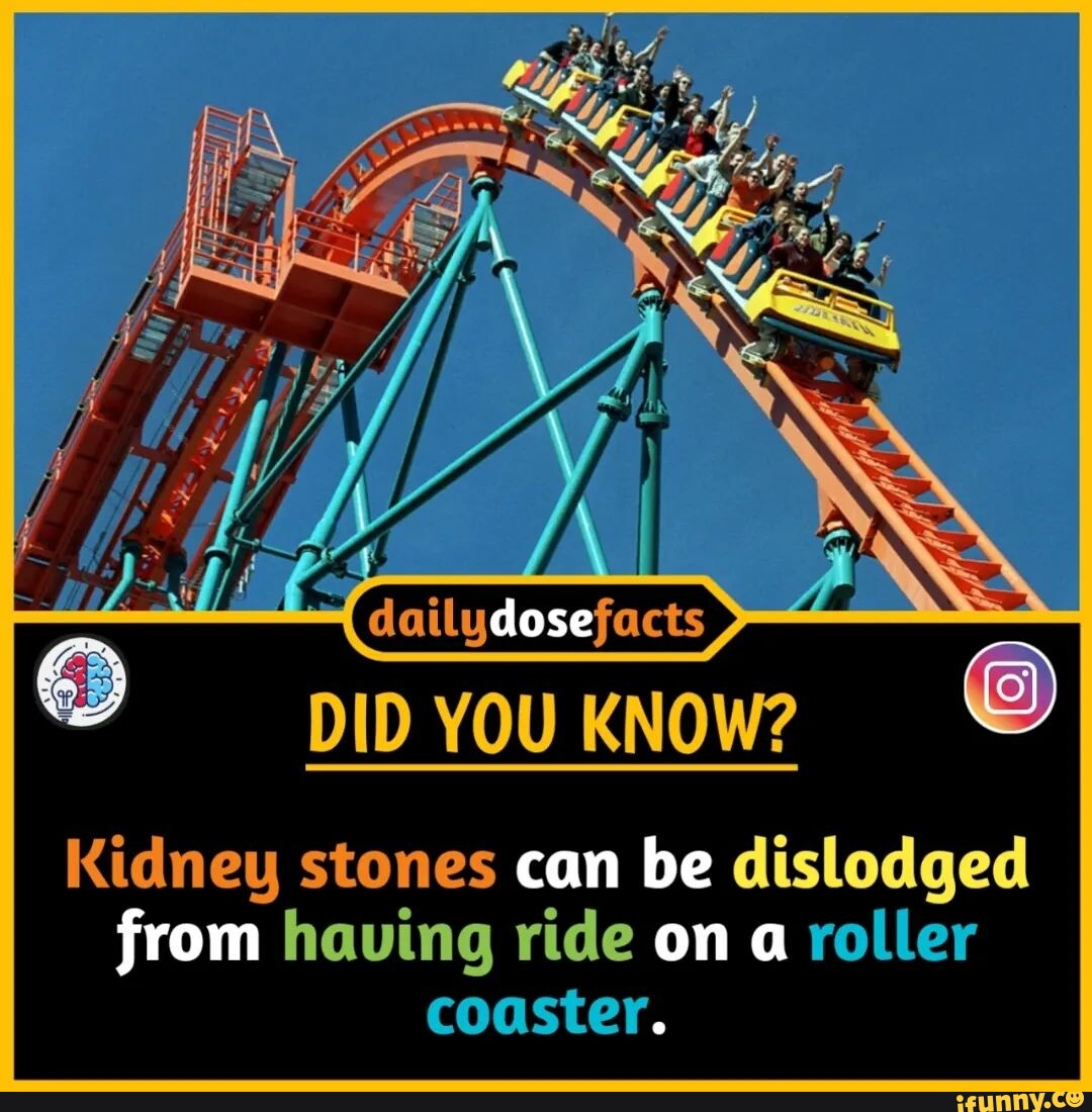 Dose DID YOU KNOW? Kidney stones can be dislodged from having ride on a