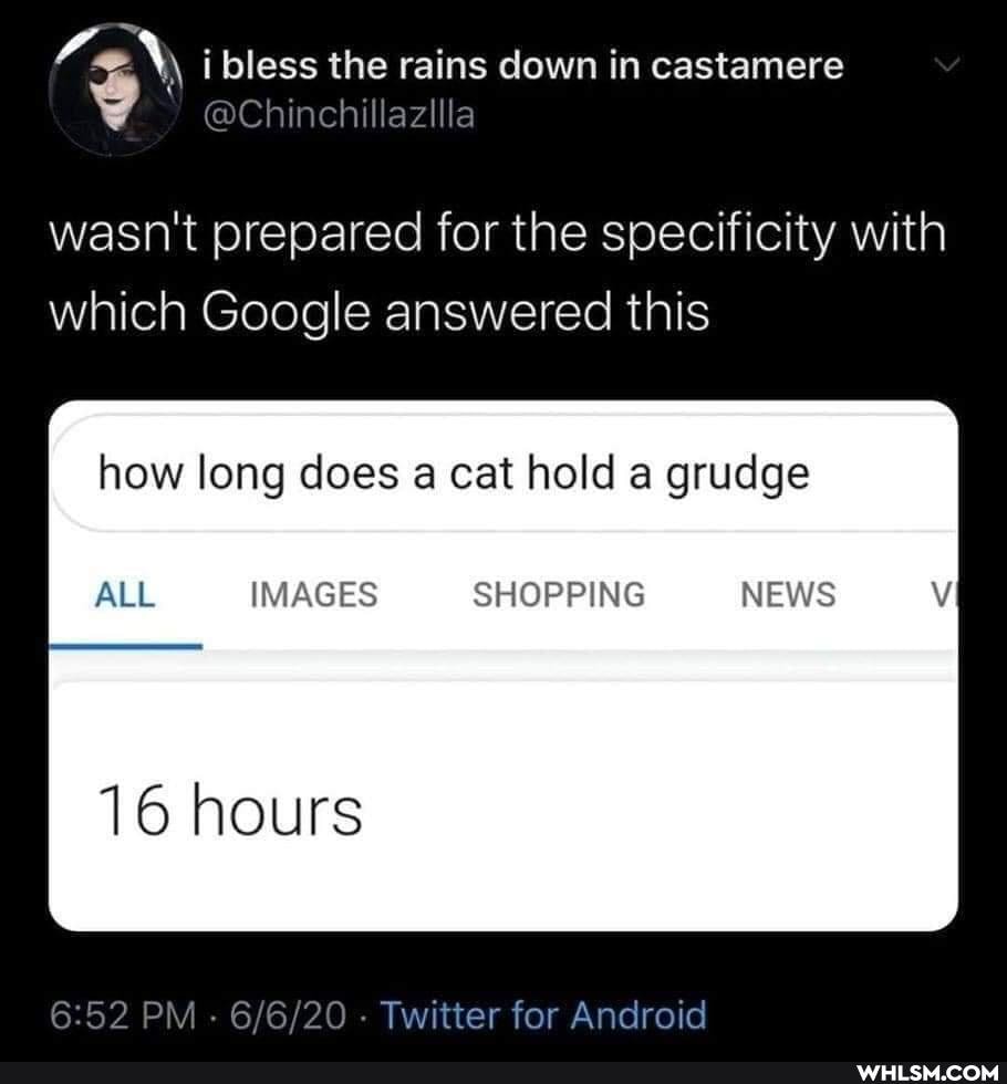 less the rains down in castamere
wasn't prepared for the specificity with which Google answered this
how long does a cat hold a grudge
ALL IMAGES SHOPPING NEWS
16 hours
PM - - Twitter for Android