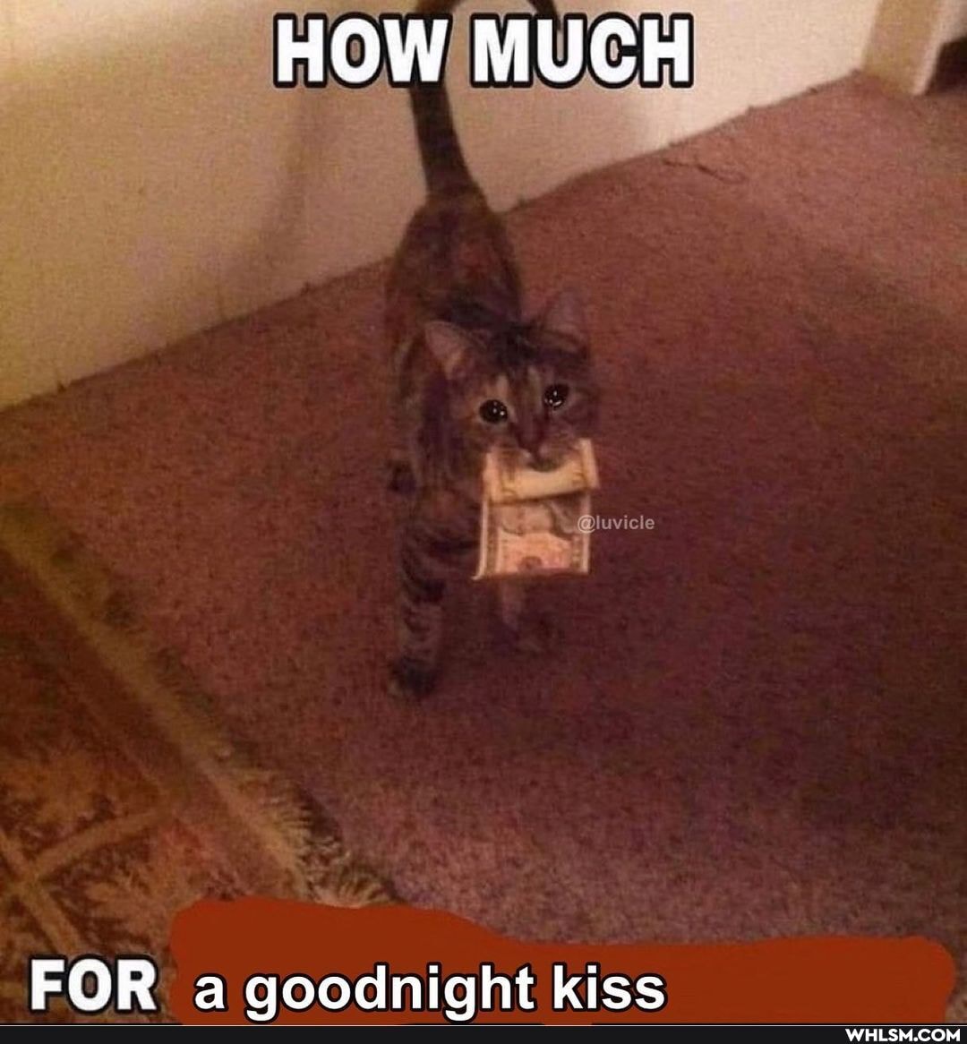 HOW MUCH
FOR qoodnight kiss
