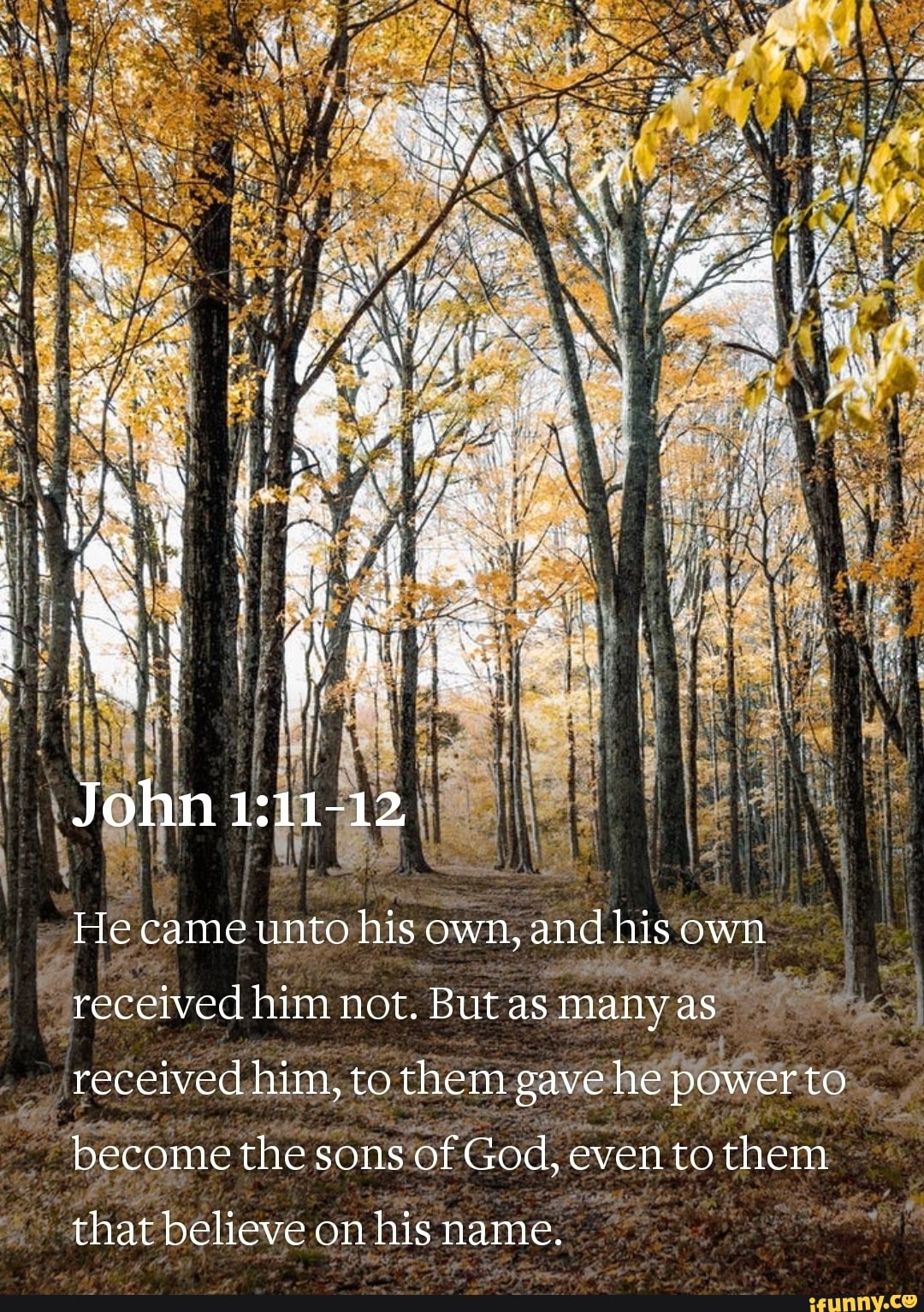 John He came unto his own, and his own received him not. But as many as ...