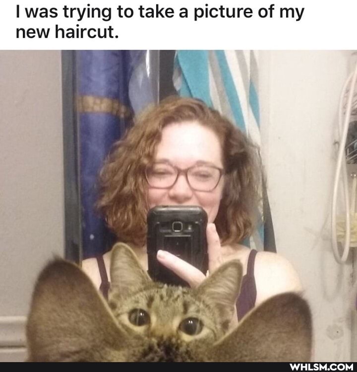 I was trying to take a picture of my new haircut.