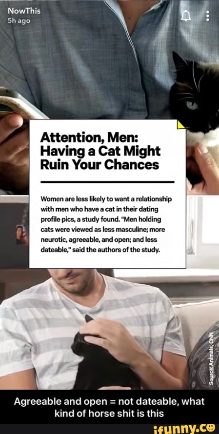 NowThis
ago
Attention, Men:
Having a Cat Might
Ruin Your Chances
Women are less likely to want a relationship with men who have a cat in their dating profile pics, a study found. "Men holding cats were viewed as less masculine; more neurotic, agreeable, and open; and less
dateable," said the authors of the study.
Agreeable and open = not dateable, what
kind of horse shit is this - Agreeable and open = not dateable, what kind of horse shit is this