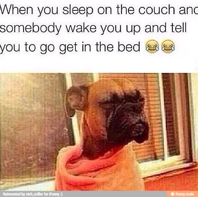 hen you sleep on the couch anc
somebody wake you up and tell
you to go get in the bed 88