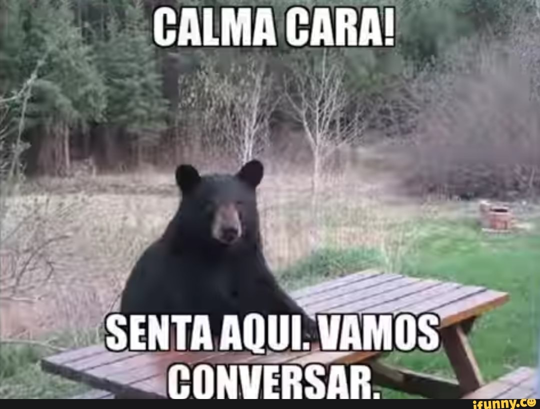 CALMA CARA!
SENTA AQUI. VAMOS CONVEPSAPR