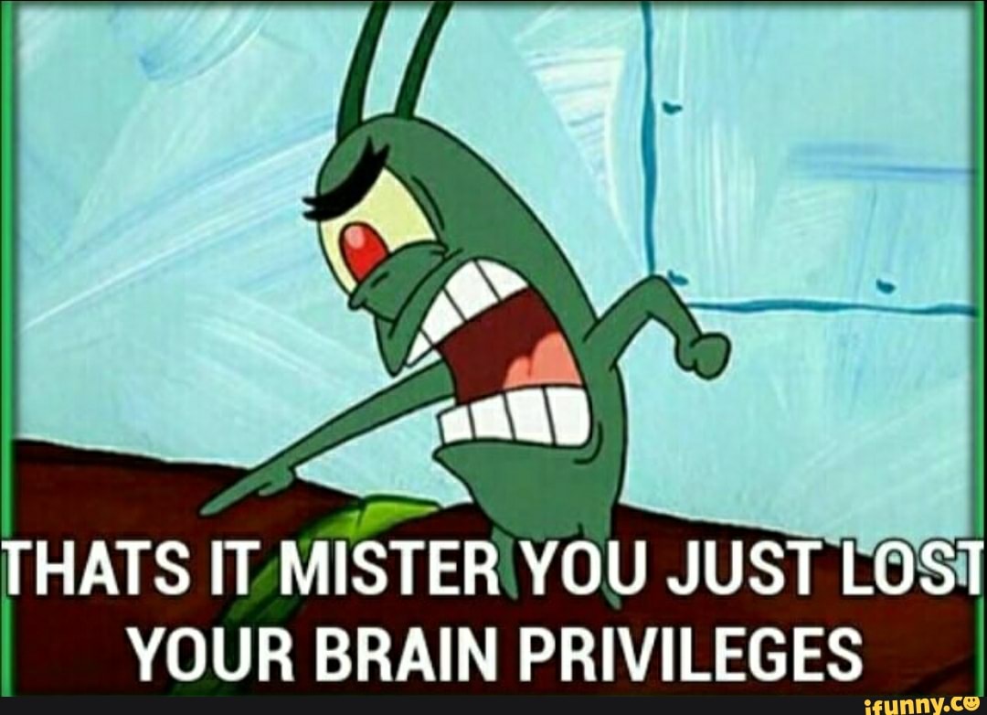 THATS IT MISTER YOU JUST LOST YOUR BRAIN PRIVILEGES iFunny