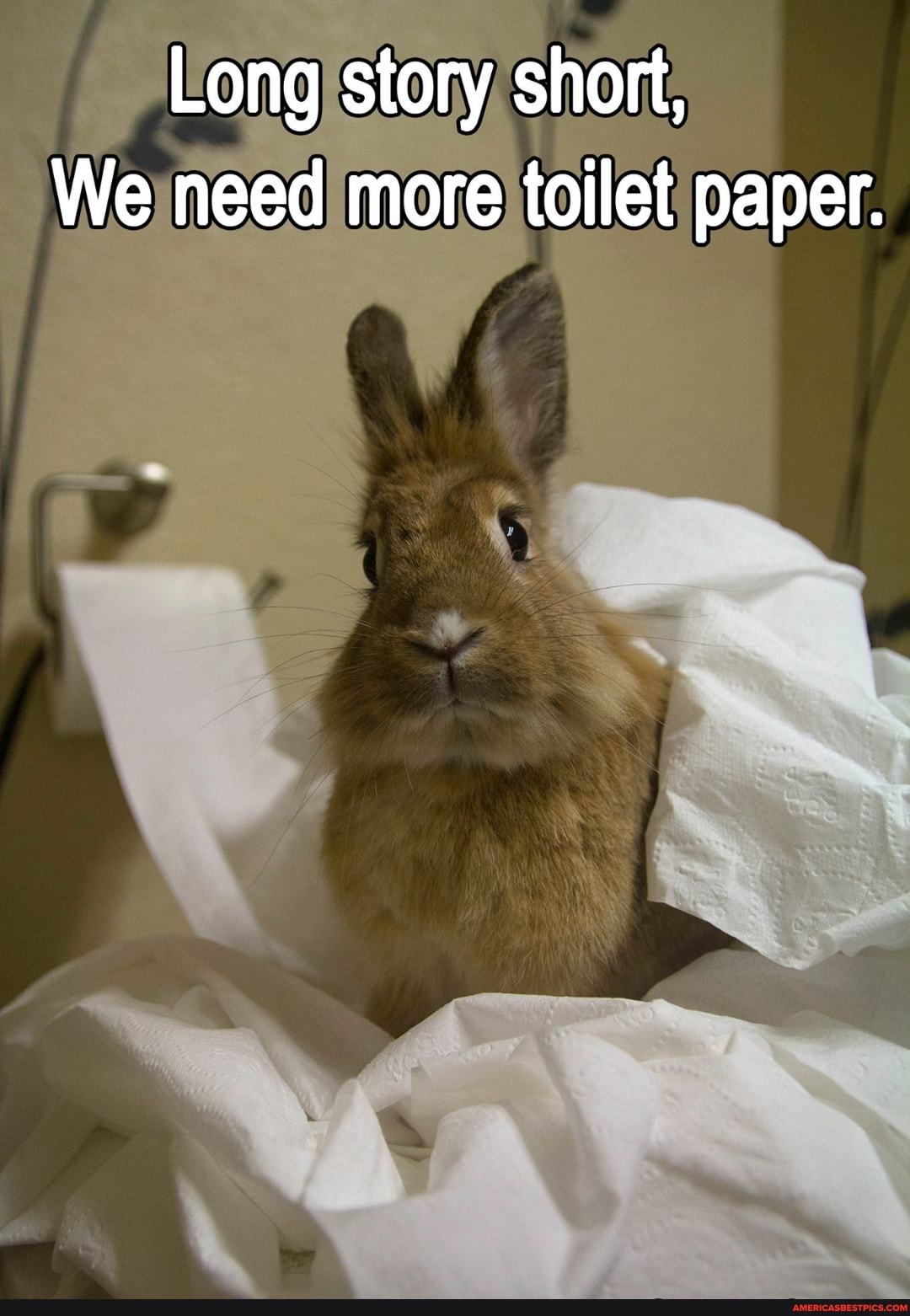 Long story short,
We need more toilet paper.