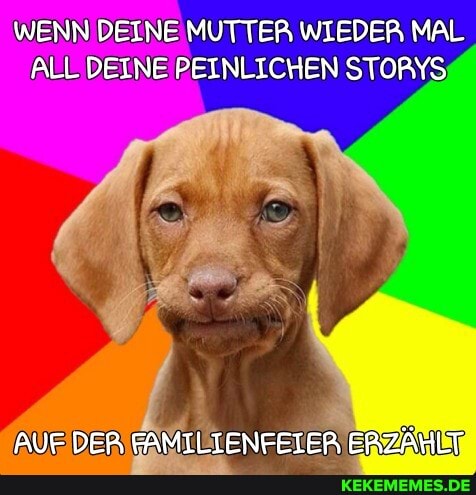 WENN DEINE MUTTER WIEDER MAL ALL DEINE PEINLICHEN STORYS
AUF DER FAMILIENFEIER ERZÄHLT