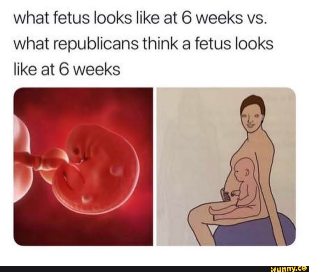 what-fetus-looks-like-at-6-weeks-vs-what-republicans-think-a-fetus