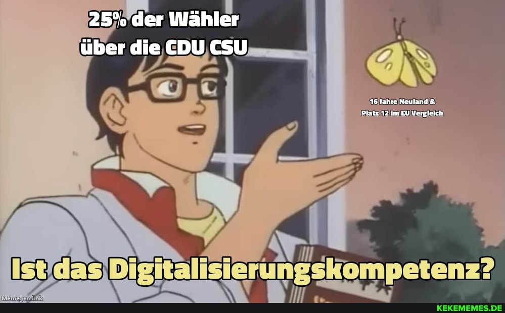 25% der Wähler über die CDU CSU \
16 Jahre Nauland &
Platz 12 im EU Vergleich