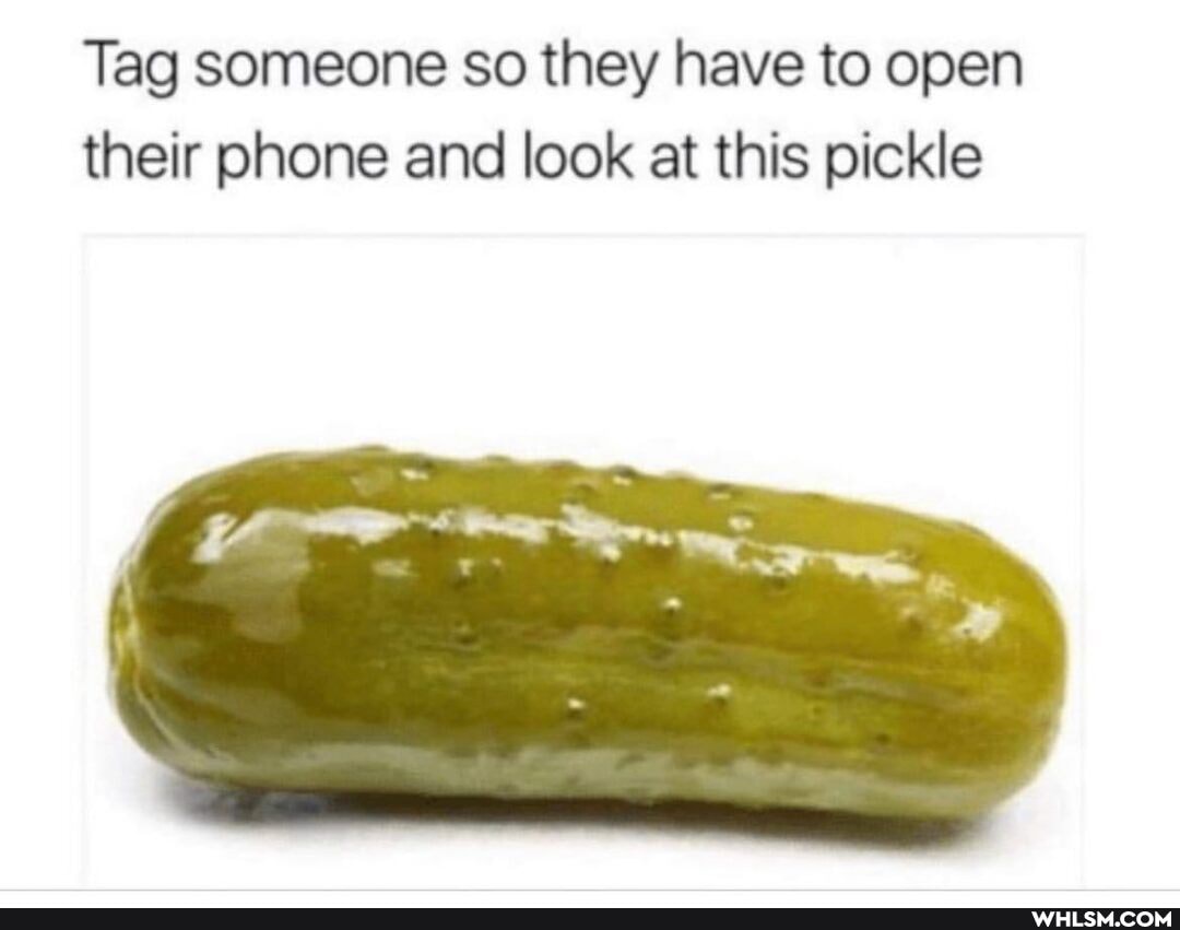 Tag someone so they have to open their phone and look at this pickle
