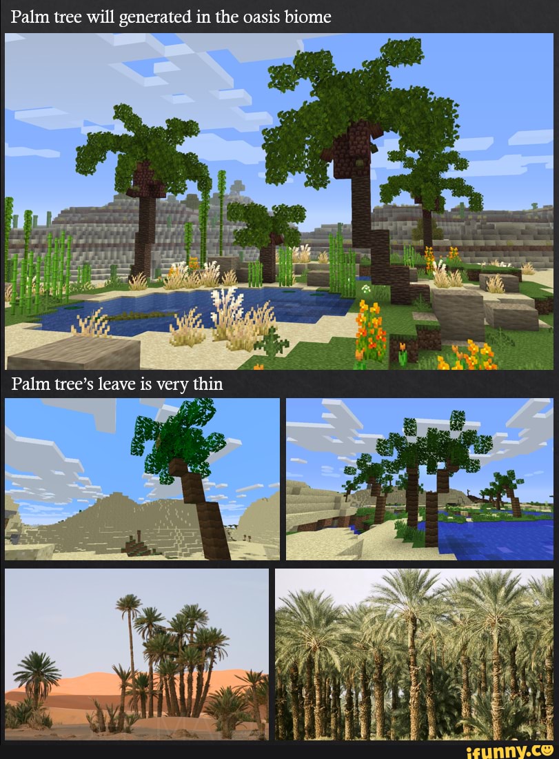 Arid Biomes - Palm tree will generated in the oasis biome Palm tree's ...