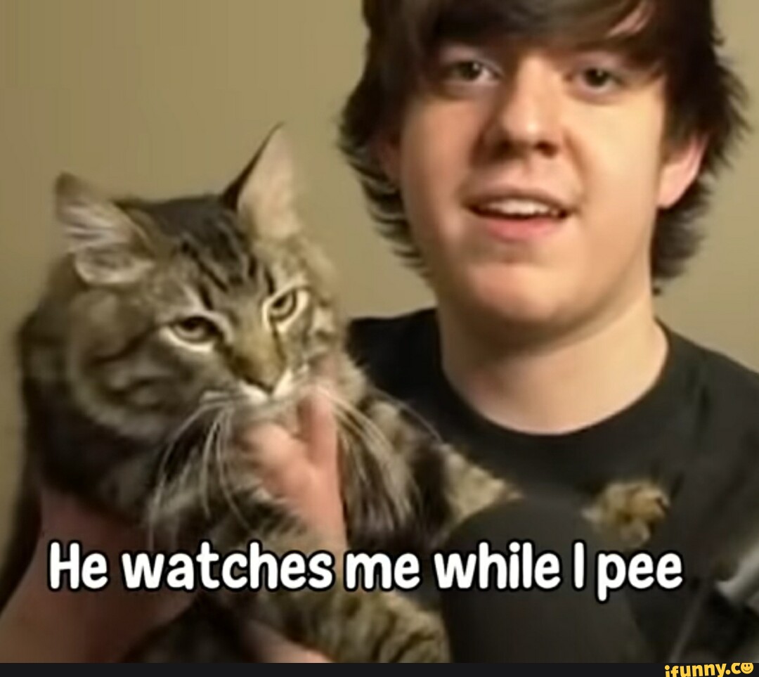 He watches me while I pee iFunny
