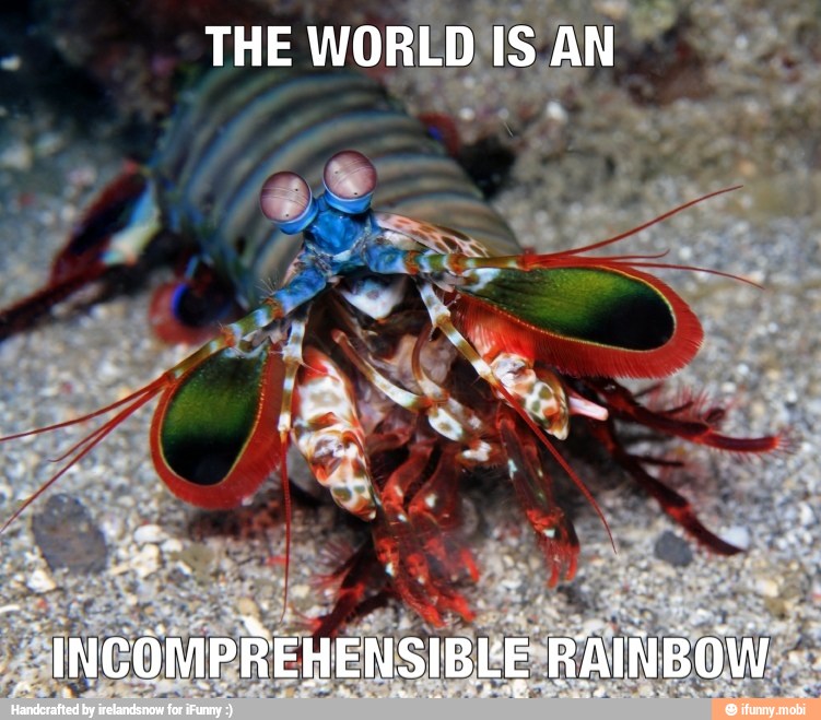 THE
WORLD'IS AN