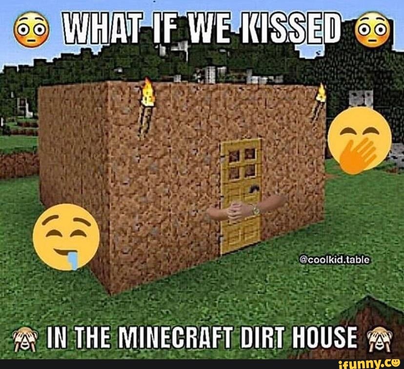 E IN THE MINECRAFT DIRT HOUSE 