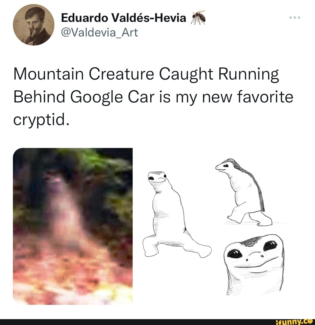 Mountain Creature Caught Running Behind Google Car is my new favorite