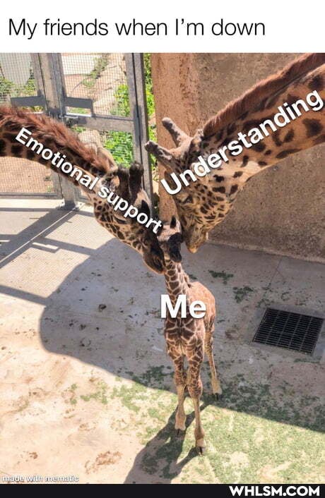 My friends when I'm down