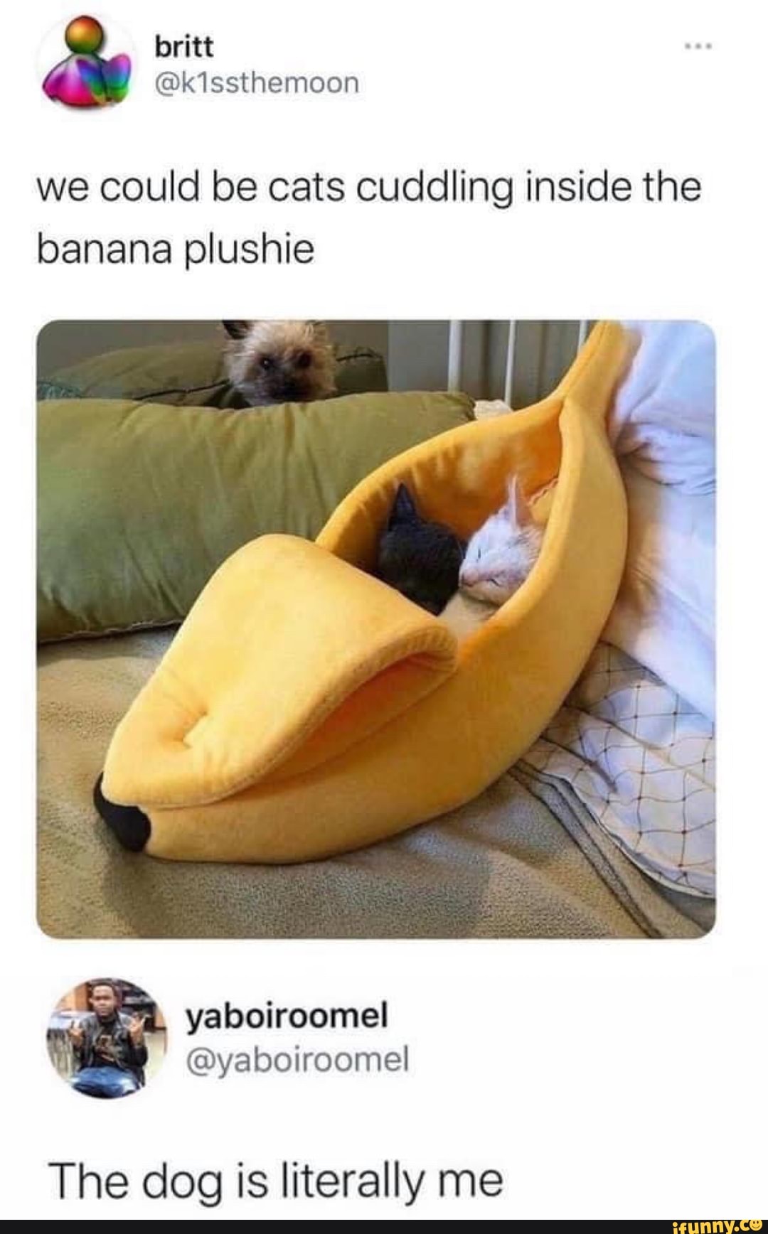 we could be cats cuddling inside the banana plushie
yaboiroomel
The dog is literally me