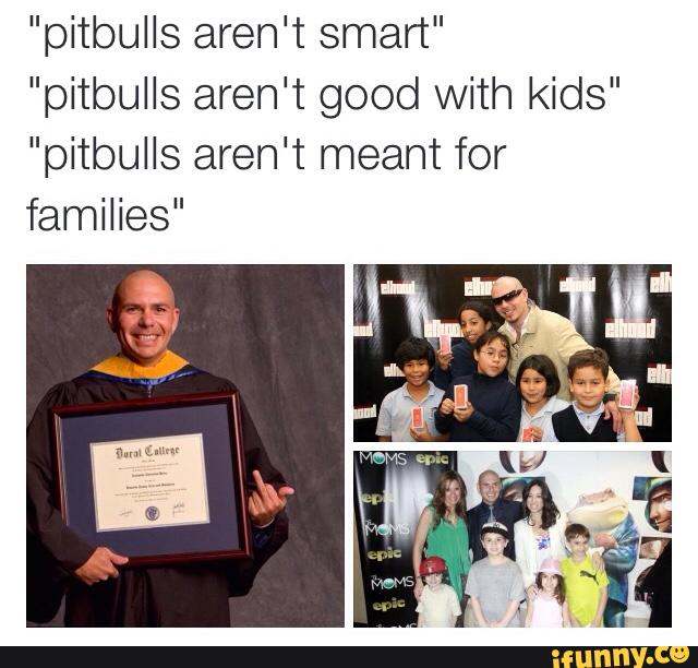 Pitbulls Aren T Smart Good With Kids Pitbulls Aren T Smart