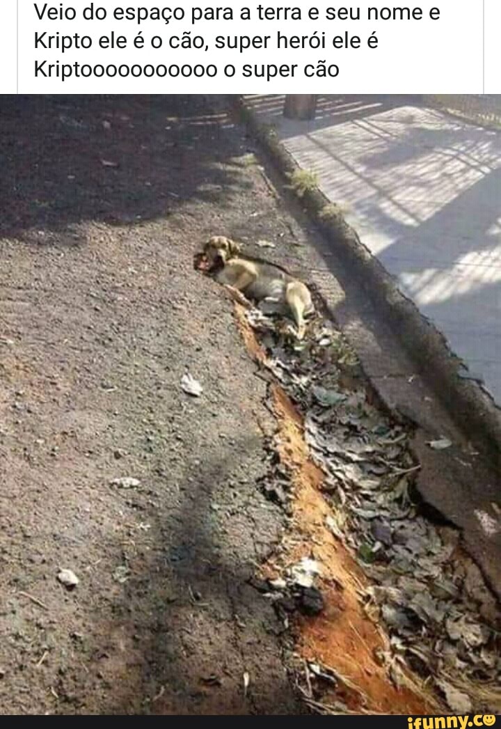 Veio do espaço para a terra e seu nome e
Kripto ele é o cão, super herói ele é
Kriptoooooo0o0000 o super cão
