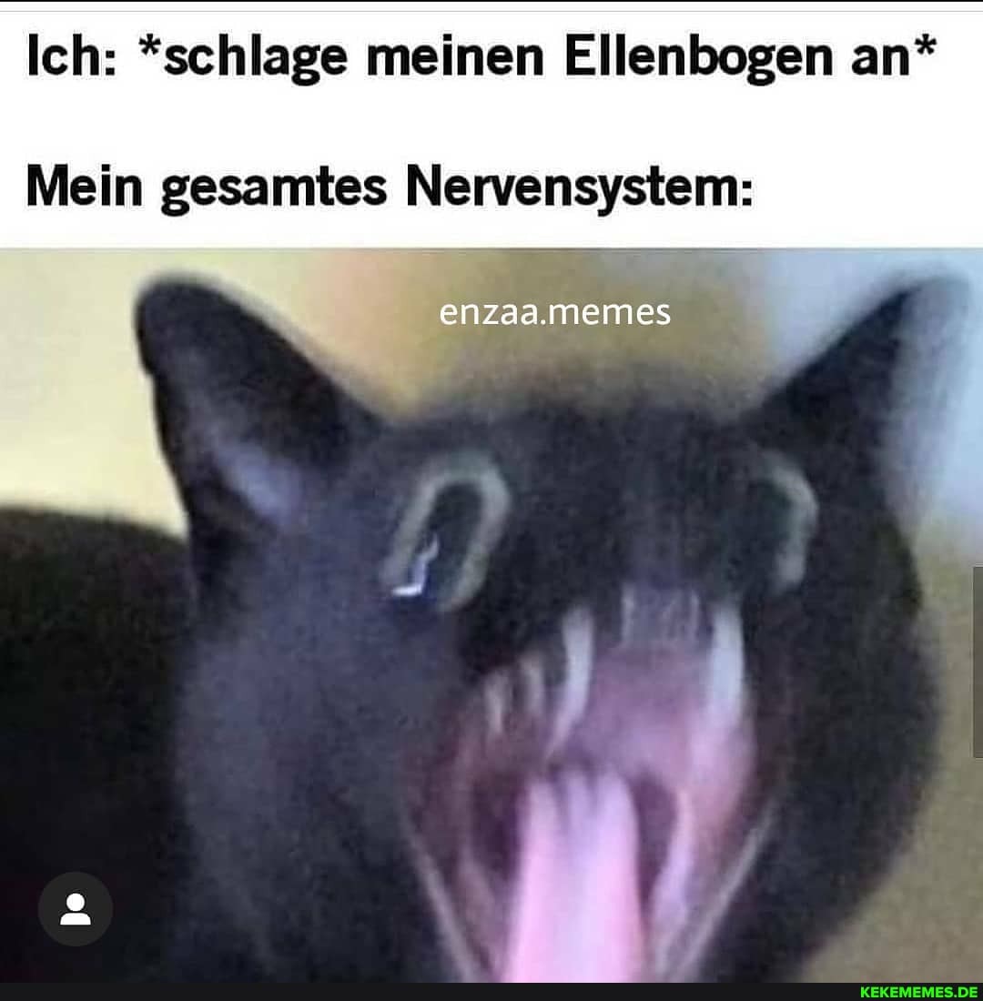 Ich: *schlage meinen Ellenbogen an*
Mein gesamtes Nervensystem:
enzaa.memes