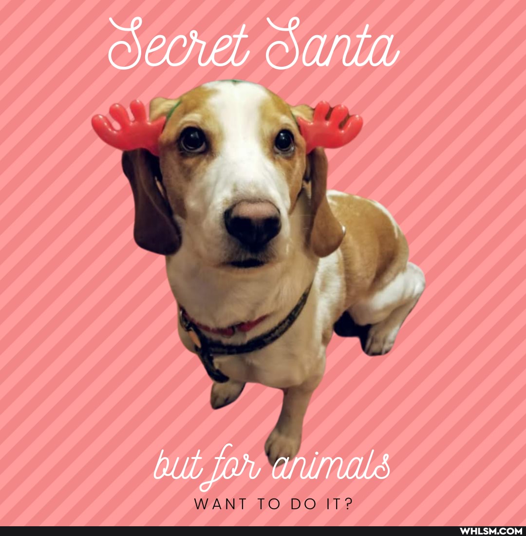Santa
but
WANT TO DO IT?