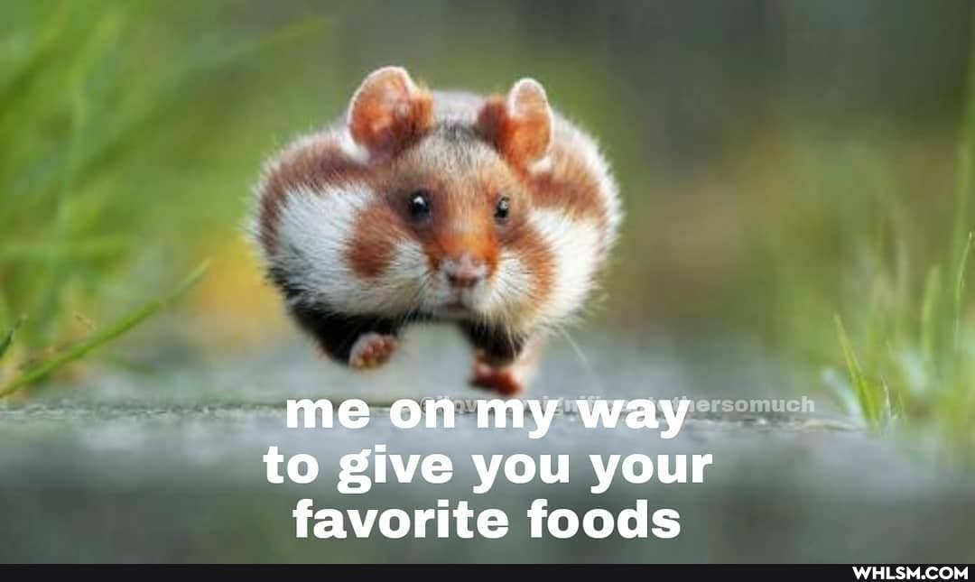 4
me on my way to give you your favorite foods