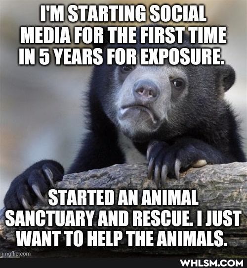I'M STARTING SOCIAL MEDIA FOR THE FIRST TIME IN YEARS FOR EXPOSURE.
STARTED AN ANIMAL SANCTUARY AND RESCUE. [ JUST WANT TO HELP THE ANIMALS.