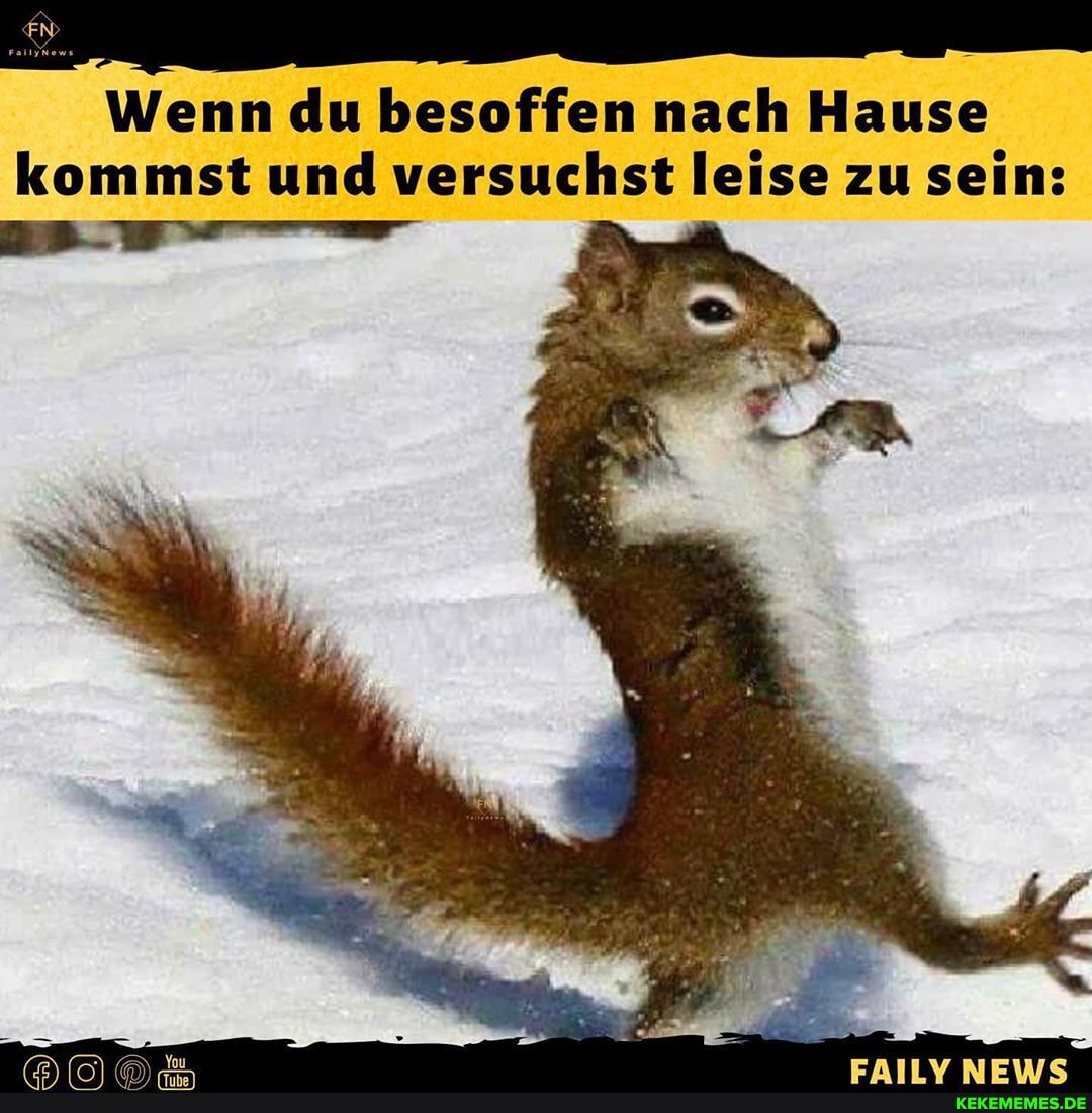Wenn du besoffen nach Hause kommst und versuchst leise zu sein: