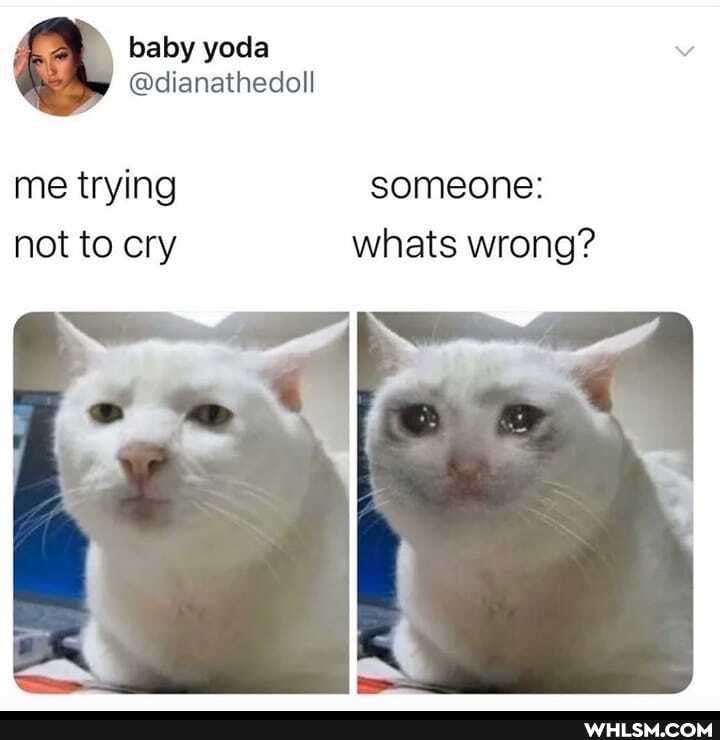 \ baby yoda
@dianathedoll
me trying someone: not to cry whats wrong?