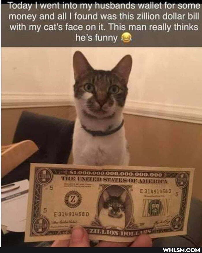 Today I went into my husbands wallet for some money and all I found was this zillion dollar bill with my cat's face on it. This man really thinks he's funny &
000,000.000,0