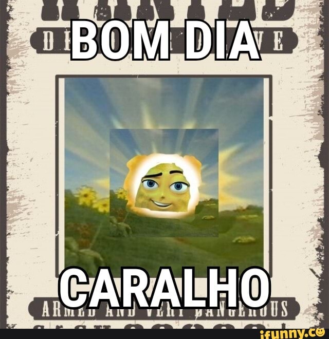 BOM DIA CARALHO - iFunny Brazil