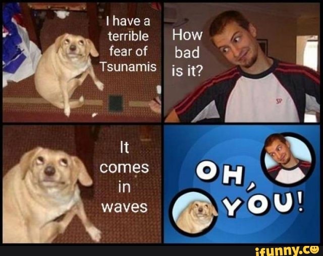 Tsunami video meme