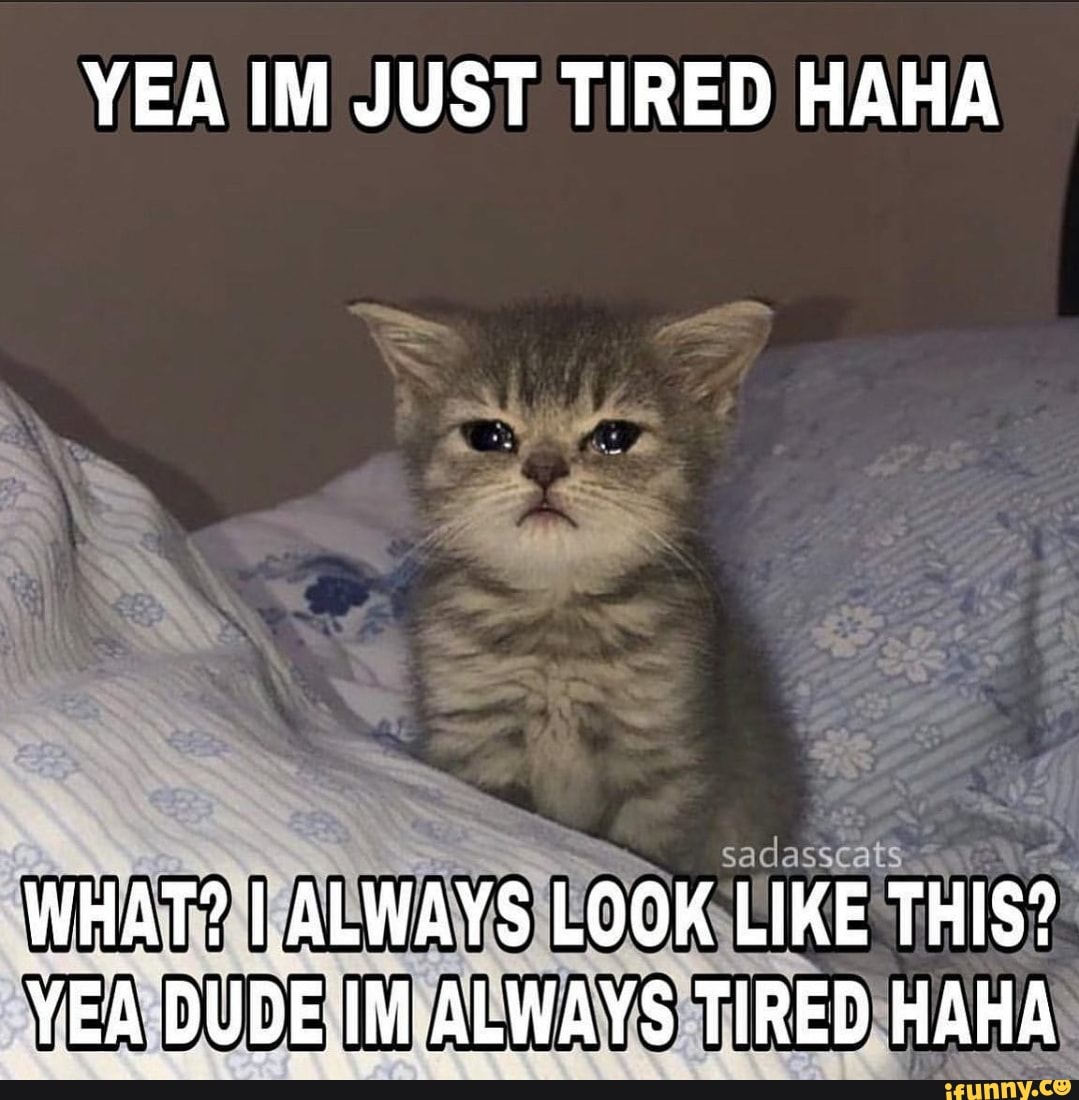 Im always tired. Im just tired. Im just little tired meme. Im just tired bro.