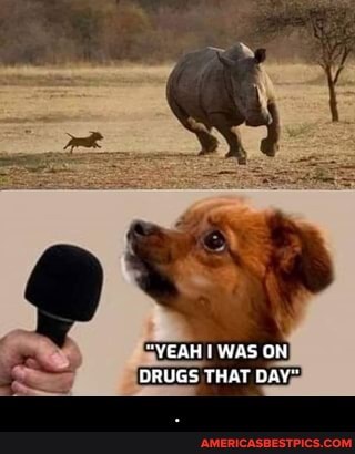 "VEGH was ON DRUGS THAT DAY" - .