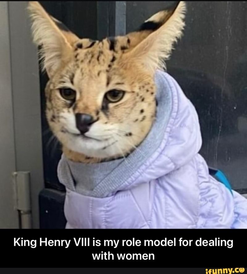 King Henry VIII is my role model for dealing with women - King Henry VIII is my role model for dealing with women