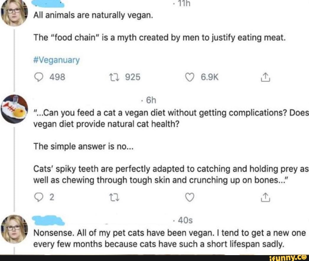 A All animals are naturally vegan. The "food chain" is a myth created