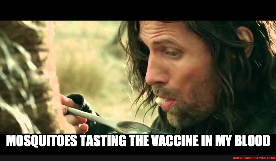 MOSQUITOES TASTING THE VACCINE IN MY BLOOD