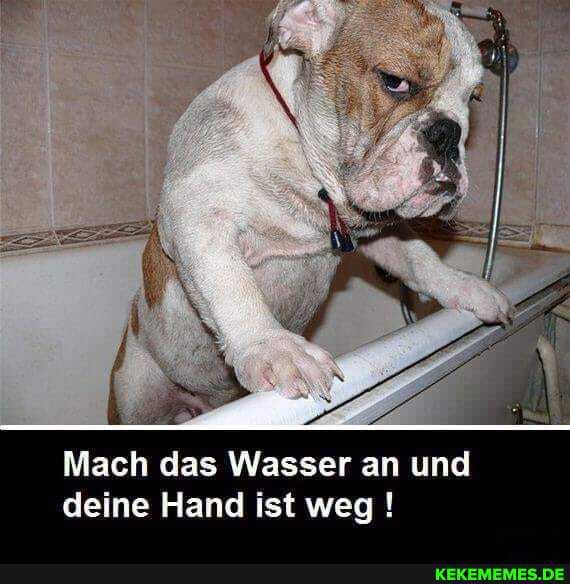 Mach das Wasser an und deine Hand ist weg !
