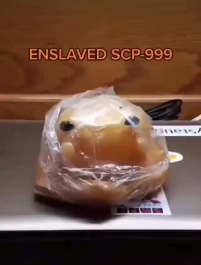 Enslaved Scp 999