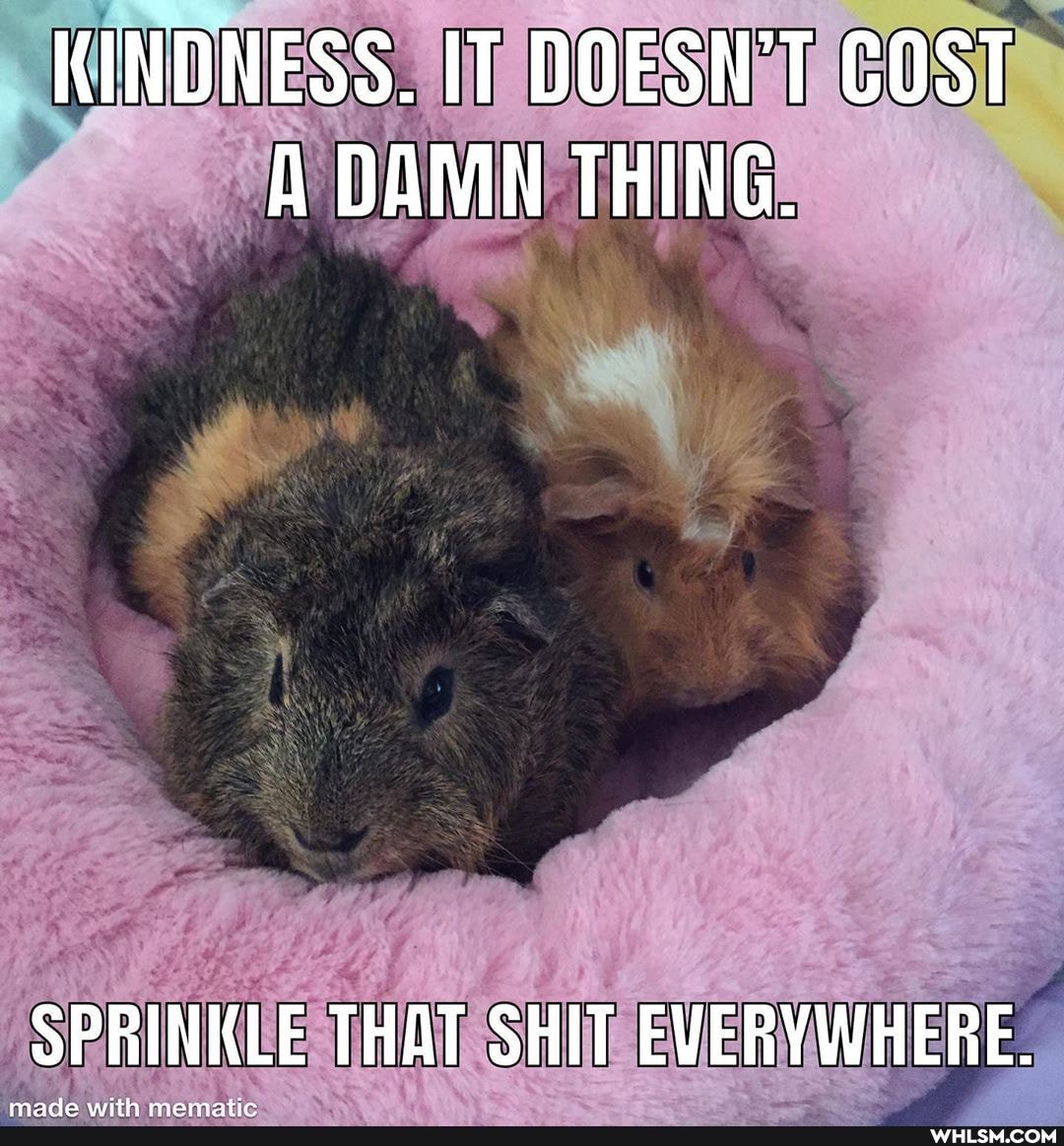 KINDNESS. IT DOESN'T COST A DAMN THING.
SPRINKLE THAT SHIT EVERYWHERE.