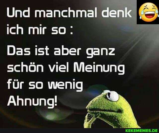 Und manchmal denk
ich mir so:
Das ist aber ganz schön viel Meinung für so wenig
Ahnung!