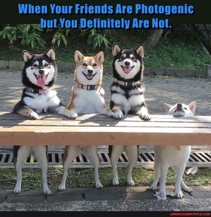When Your Friends Are Photogenic hut You Definitely Are Not.
Ya