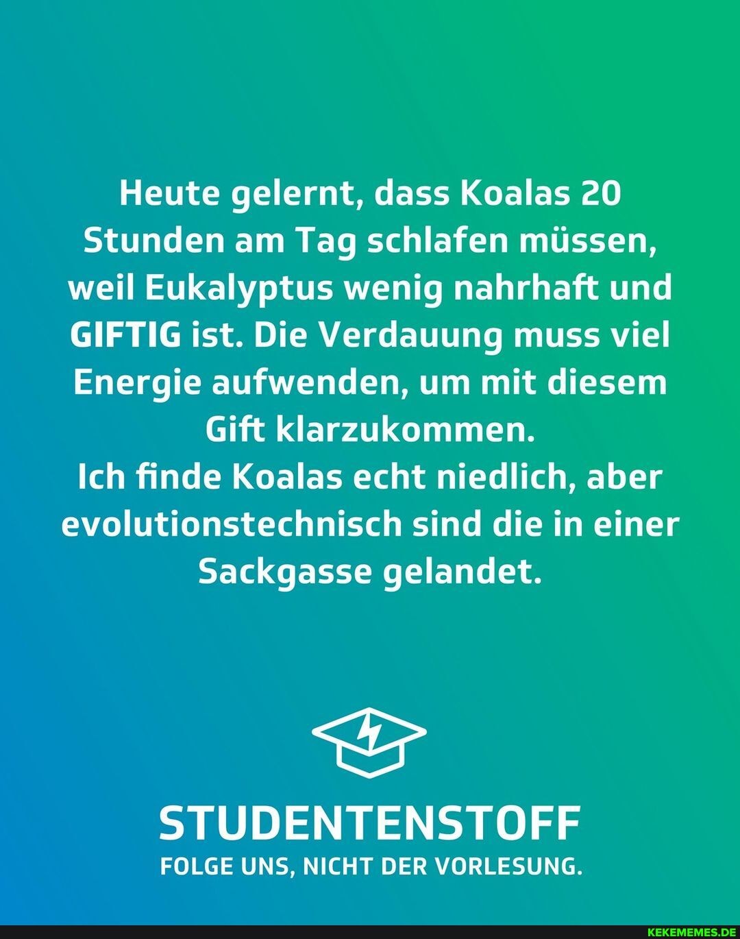 Heute gelernt, dass Koalas 20
Stunden am Tag schlafen müssen,
weil Eukalyptus wenig nahrhaft und
GIFTIG ist. Die Verdauung muss viel
Energie aufwenden, um mit diesem
Gift klarzukommen.
Ich finde Koalas echt niedlich, aber
evolutionstechnisch sind die in einer
Sackgasse gelandet.
STUDENTENSTOFF
FOLGE UNS, NICHT DER VORLESUNG.